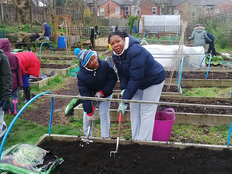 Two people digging an allotment plot